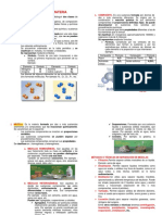 Clasificación de la materia y métodos de separación de mezclas