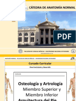 Seminario Osteologia