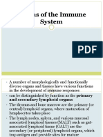 Organs of The Immune System