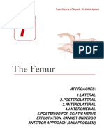 07 Femur