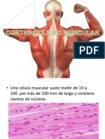 CONTRACTILIDAD MUSCULAR.pptx