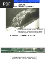 What Is A Turbidity Current?: Turbidity Currents: Morphodynamics and Deposits