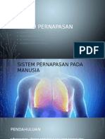 Sistem Pernapasan Manusia