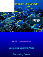 Reef FormationGrowth2
