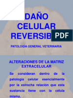 Daño Celular Reversible 