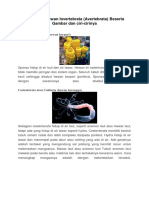 10 Hewan Invertebrata dan Ciri-Ciri Utama Mereka