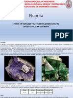 Fluoritaexp