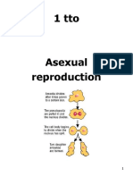 1t Asexual Reproduction 09-10