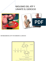 Metabolismo Del Atp y PCR Durante El Ejercicio