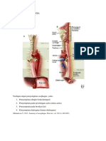 4 Penyempitan Esofagus