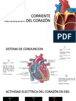 Flujo de Corriente Alrededor Del Corazón