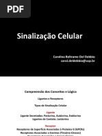 Sinalização 2017 para estudo.pdf