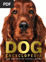 Austrian Brandlbracke Unveiled: A Must-See Snapshot!