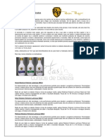 WS Mechas - RP PDF