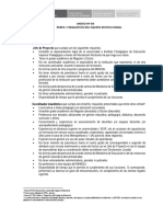 Anexo 08 Perfil y Requisitos Del Equipo Institucional Aa (1)