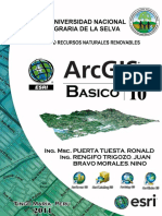 Arcgis Basico