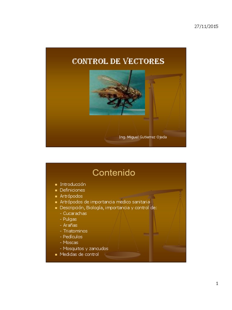 Control de Vectores en Salud Pública | PDF | Mosquito | Mosca