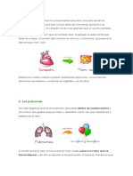 Ciencias Naturales Organos 1