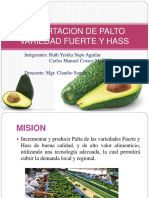 Exportación de palta Hass y Fuerte