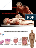 Clase 1 Plan Estructural Del Cuerpo