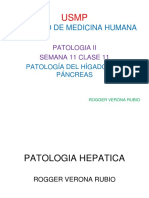 1.patologia Hepatica