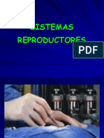13. Sistema Reprodutores.ppt