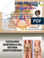 Trabajo de Patolodia Quiruegica Sistema Genitourinario