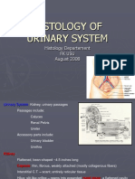Histology of Urinary System Lecture GUS
