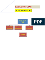 Dept of Pathology: Organisation Chart