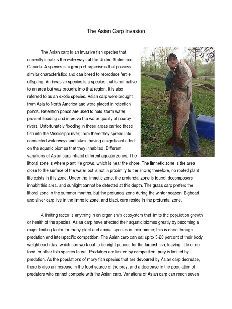 Asian carp thesis statement 06 picture