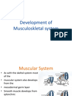 Embryology Muscularskeletal System