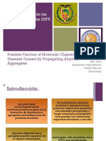 Paper_IIP-1.pptx