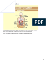 Digestive PDF