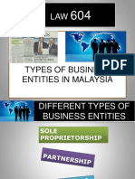 Type of Biz Entities