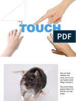 touch ppt