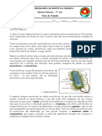 A_celula.pdf