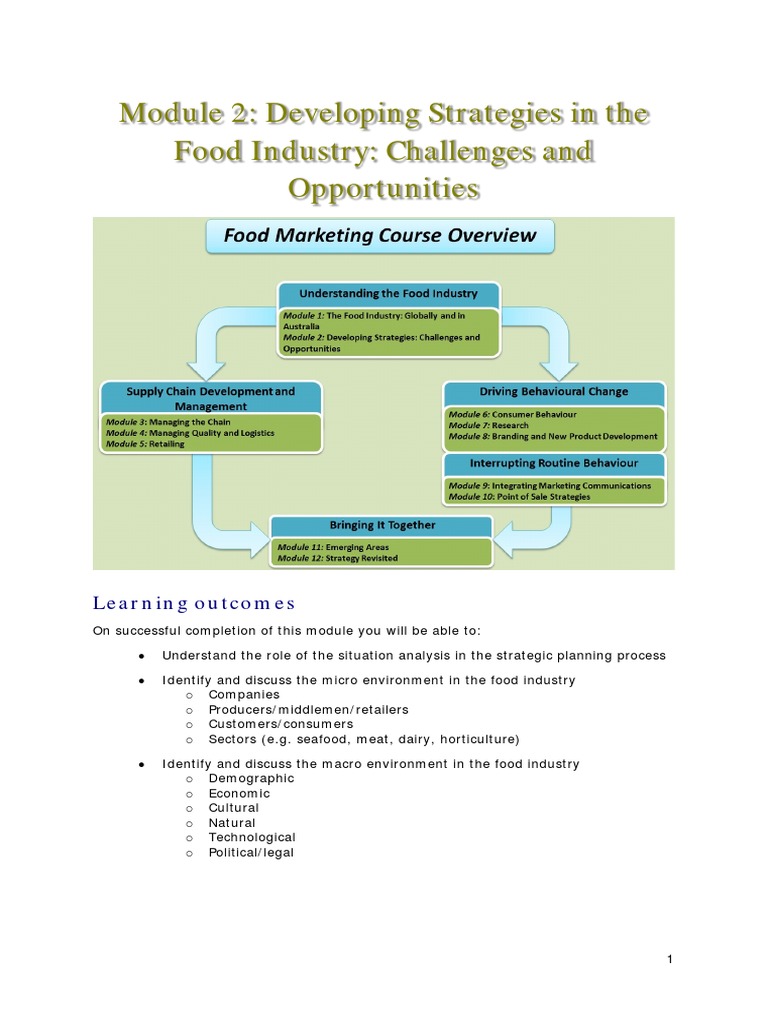 Module 2Developing Strategies in The Food Industry PDF Strategic