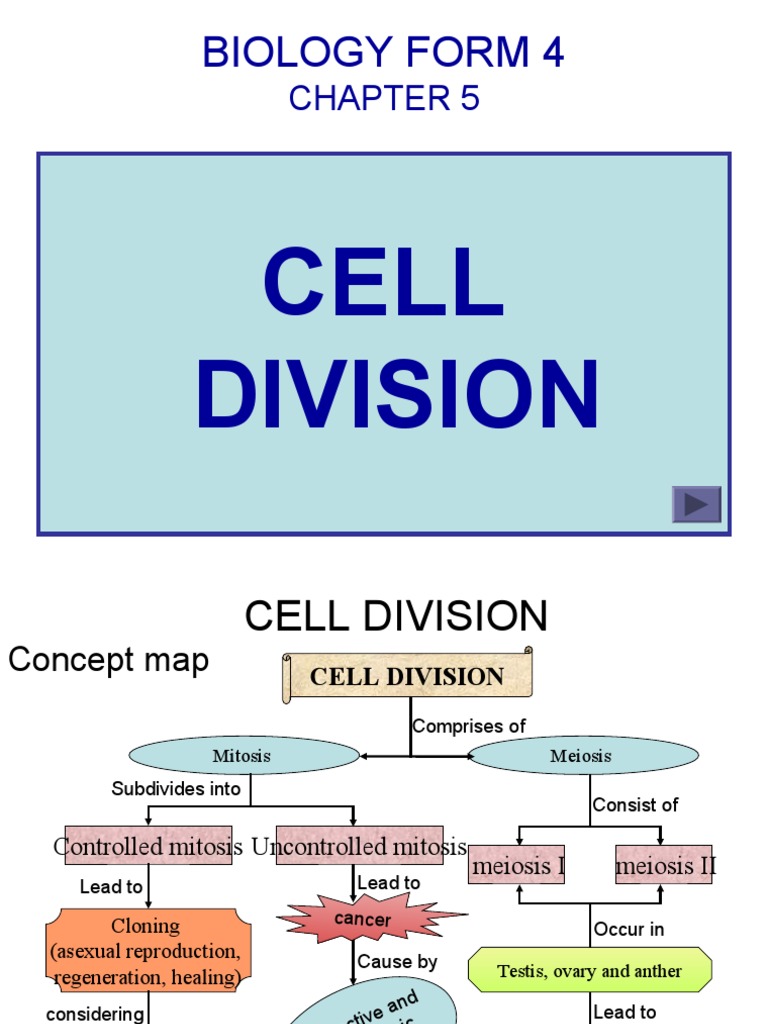 Concept Map About Cell Division Bio F4 Chap 5 Cell Division | Pdf | Mitosis | Meiosis