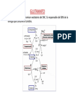 Tema 2-Neurotransmisores.pdf