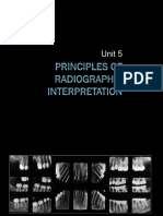 05 Principles of Radiographic Interpretation 08