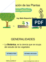 Clasificación plantas.pdf