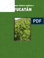 31 Yucatan 2015 SIN