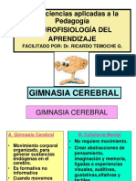 Neurociencias Ginnasiacerebral Aprendizaje 100824183432 Phpapp01