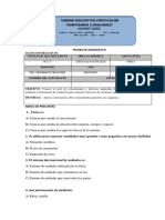 Pruebas de Diagnostico Bach Fisica