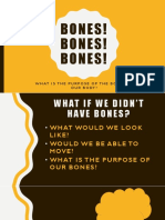 bone structure powerpoint