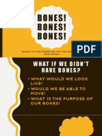 Bone Structure Powerpoint