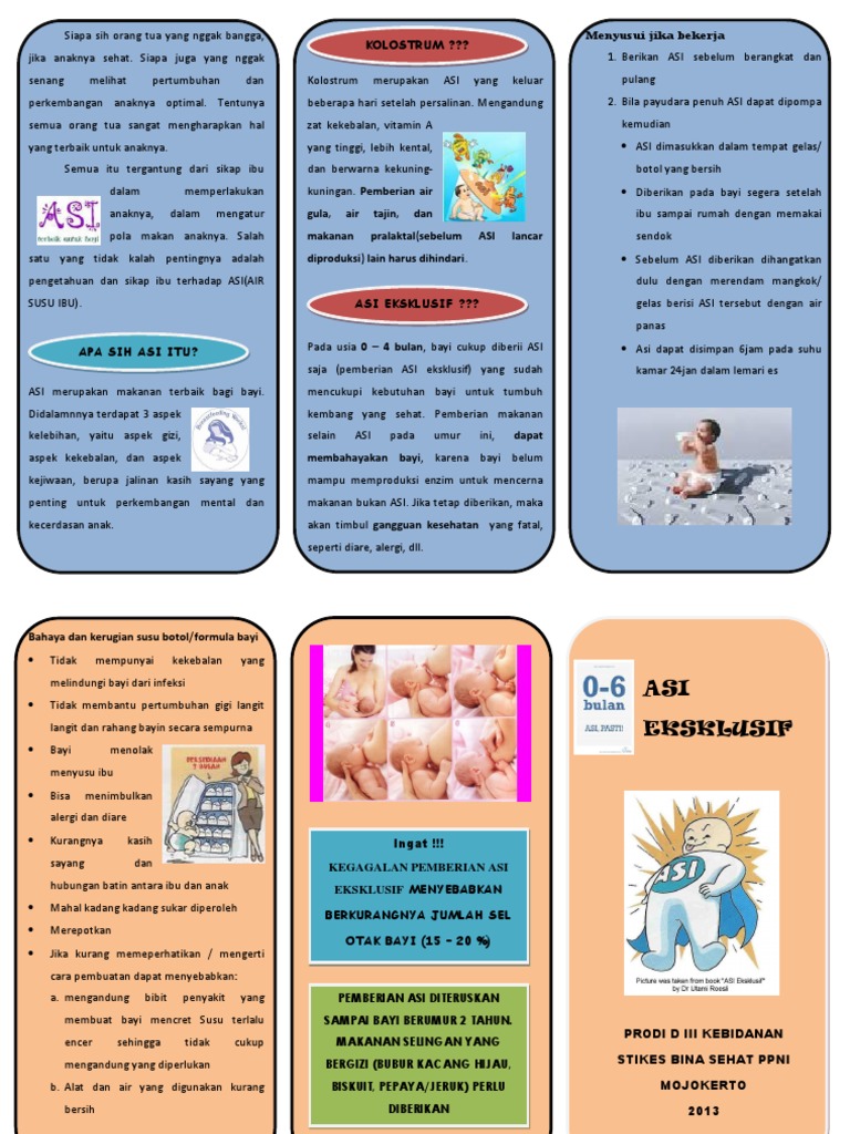 Leaflet ASI Eksklusif | PDF