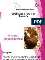 Clase 04 Gallinas Repro Construcciones 16-1