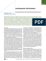 Endosymbiosis and Eukaryotic Cell Evolution.pdf