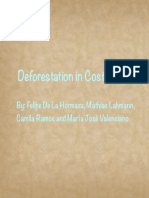 Deforestaion Edited Final P 2